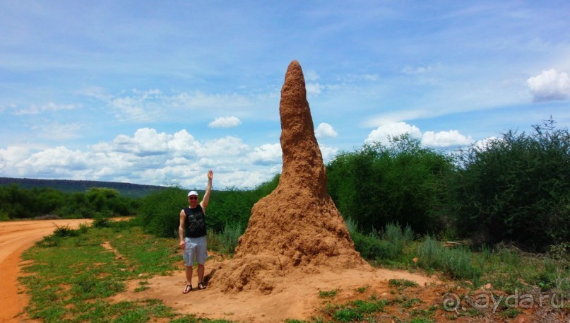 фото Пустыни Намиб