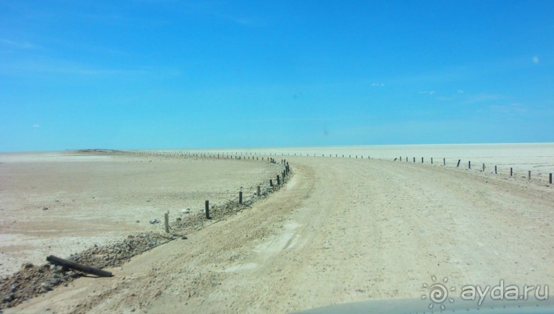 Альбом отзыва "Намибия. Африка. Пересыхающее солёное озеро."