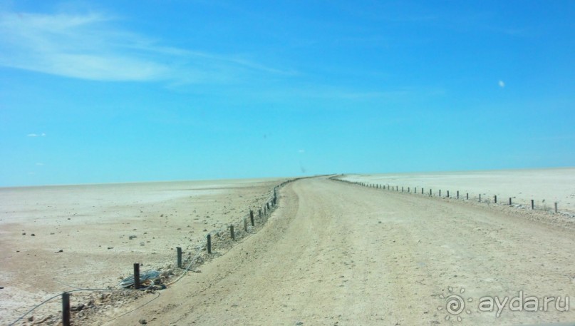 Альбом отзыва "Намибия. Африка. Пересыхающее солёное озеро."