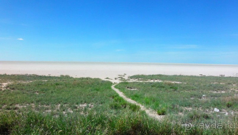 Намибия. Африка. Пересыхающее солёное озеро.