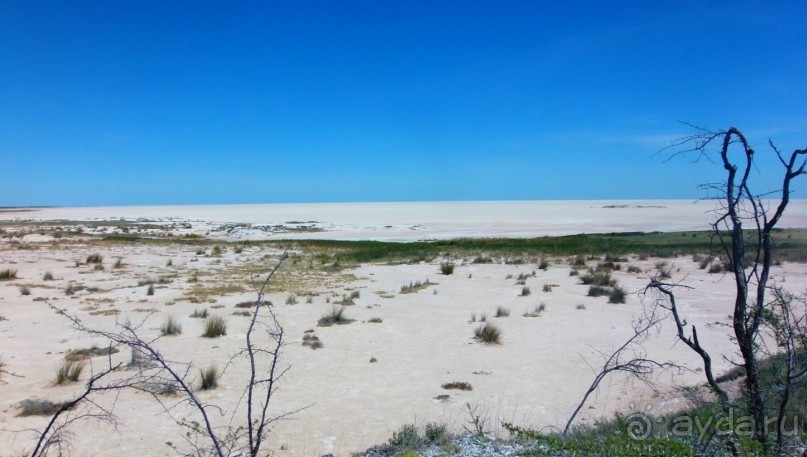 Намибия. Африка. Пересыхающее солёное озеро.