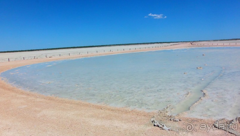 Намибия. Африка. Пересыхающее солёное озеро.