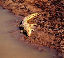 фото Водопада Виктории