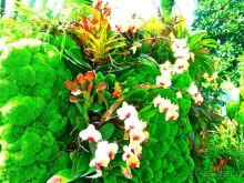 Красочный Сингапур!