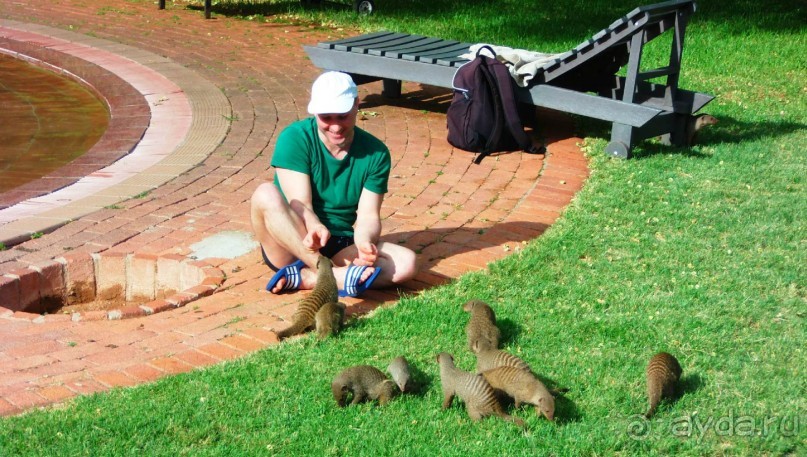 Намибия. Африка.