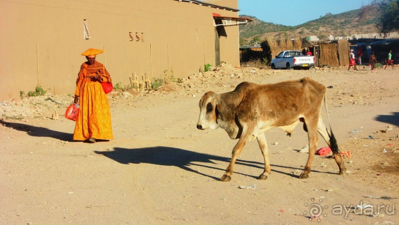 Намибия. Африка.