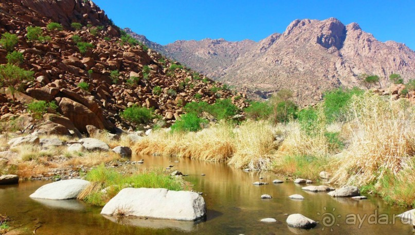 Намибия. Африка. Белая Дама.