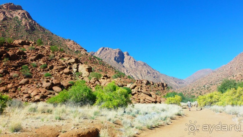 Намибия. Африка. Белая Дама.