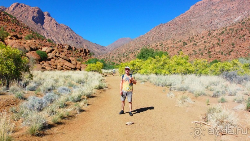 Намибия. Африка. Белая Дама.