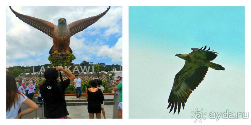 Малайзия. Остров Лангкави.