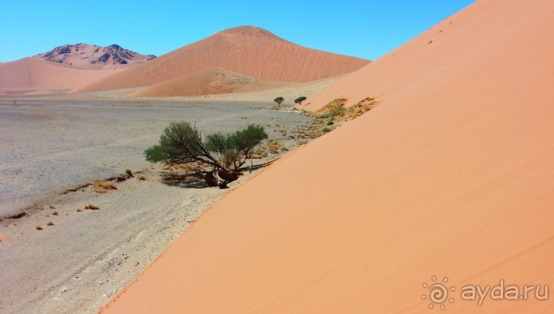 Намибия. Африка. Великая пустыня Намиб.