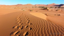 Намибия. Африка. Великая пустыня Намиб.