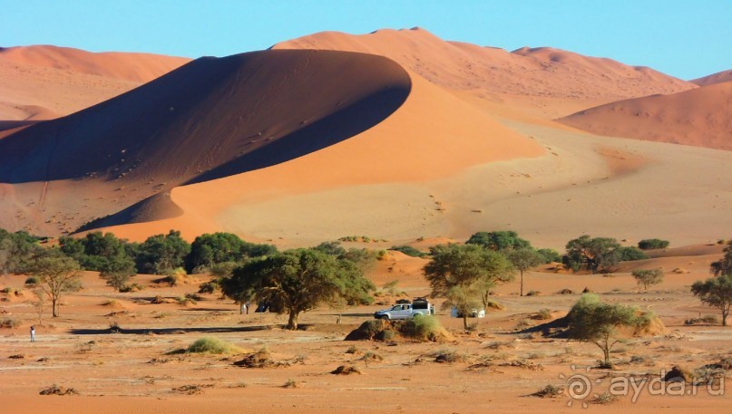 фото Соссусвлея