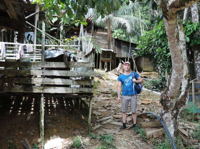 фото Борнео