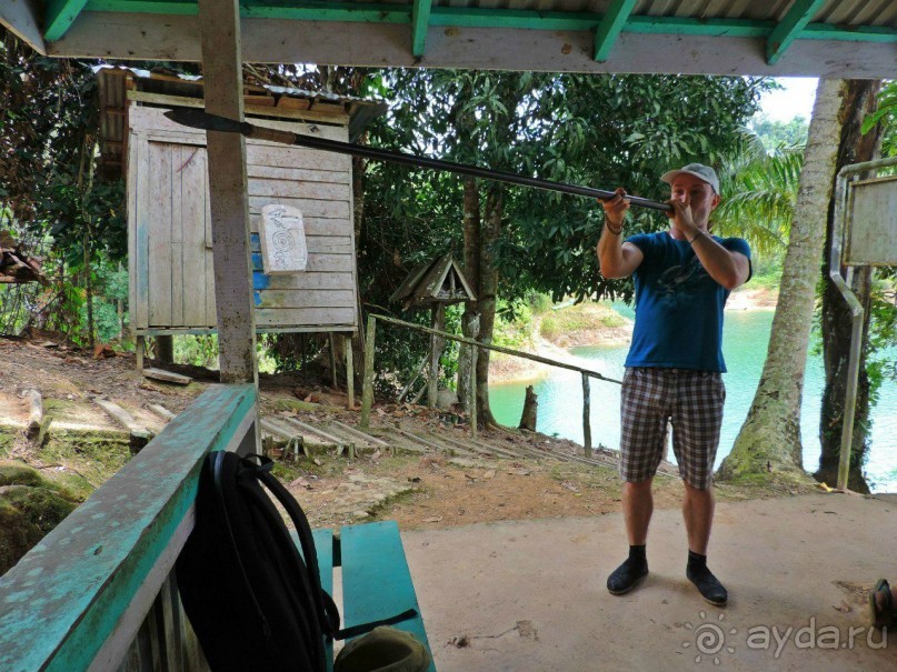 фото Борнео