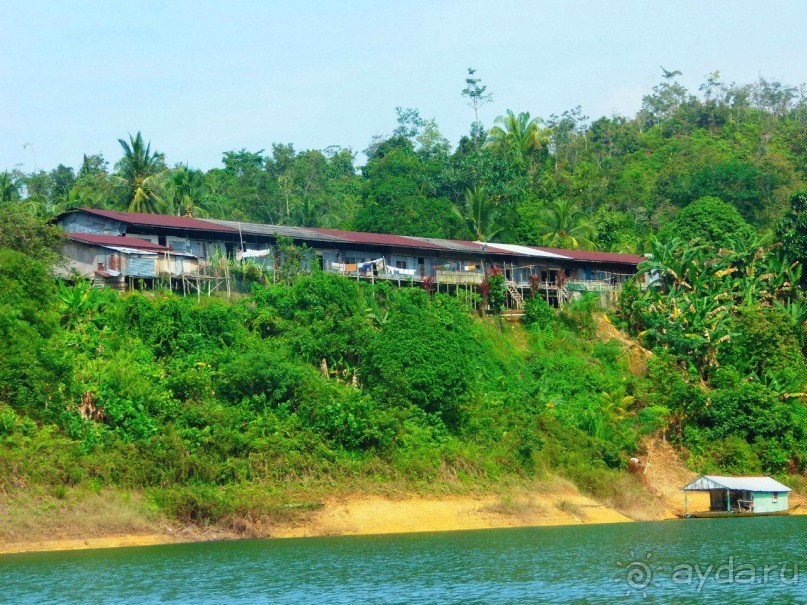 Малайзия. Остров Борнео. В гостях у племени Ибан!