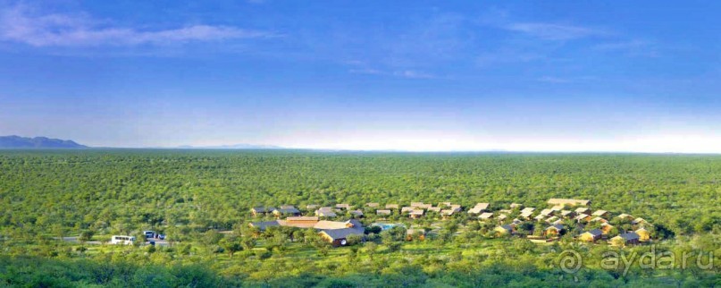 Намибия. Африка. Оазис в пустыне - oтель Дамара Мапанe Лодж. 