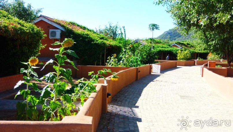 Намибия. Африка. Оазис в пустыне - oтель Дамара Мапанe Лодж. 