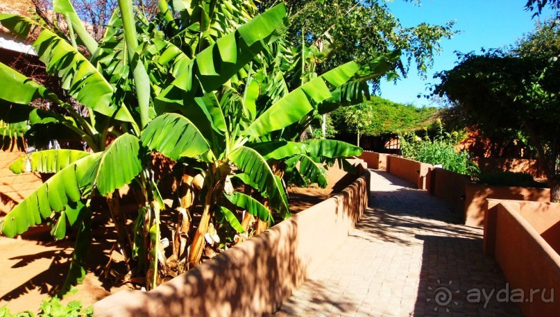 Намибия. Африка. Оазис в пустыне - oтель Дамара Мапанe Лодж. 