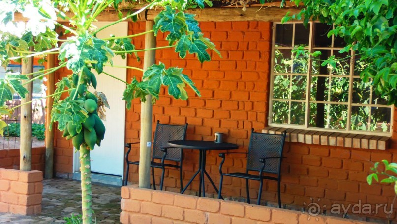 Намибия. Африка. Оазис в пустыне - oтель Дамара Мапанe Лодж. 