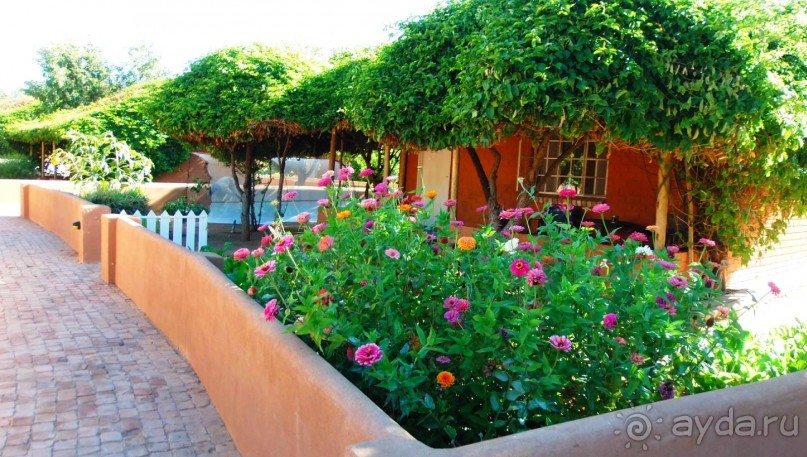 Намибия. Африка. Оазис в пустыне - oтель Дамара Мапанe Лодж. 