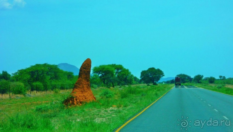 Намибия. Африка. Гиганские термитники.