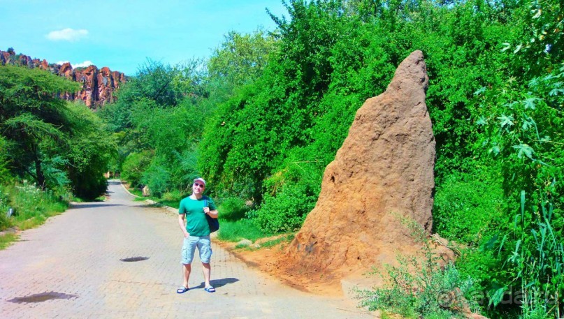 Намибия. Африка. Гиганские термитники.