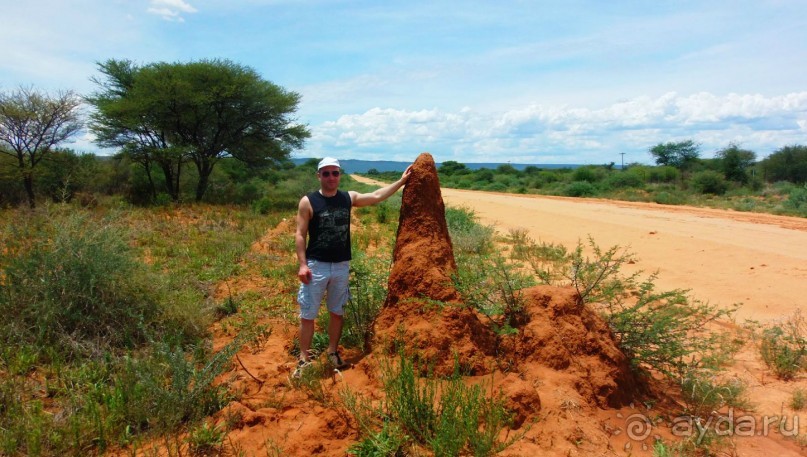 Намибия. Африка. Гиганские термитники.