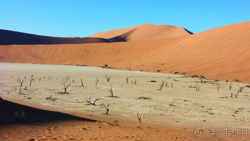 Намибия. Африка. Долина смерти.