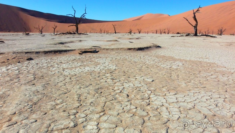 Намибия. Африка. Долина смерти.