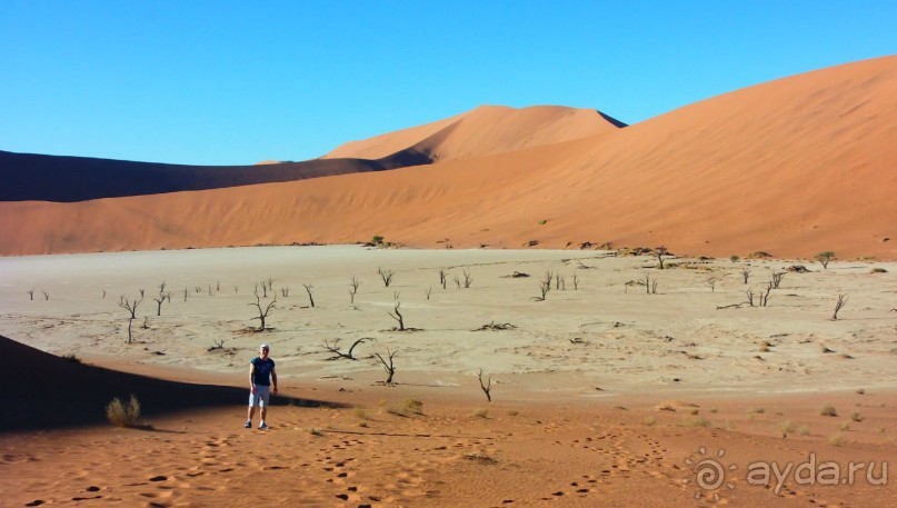 Намибия. Африка. Долина смерти.