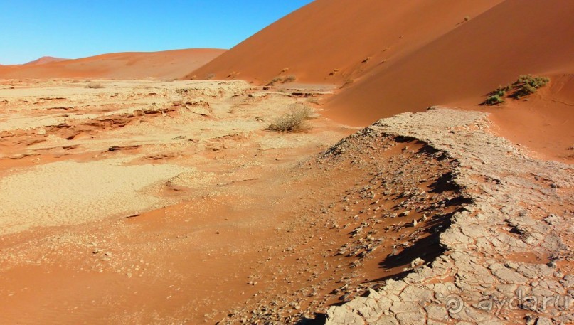 Альбом отзыва "Намибия. Африка. Долина смерти."