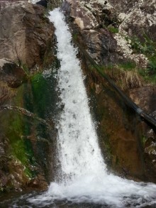 В Узбекистан с экскурсией