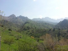 В Узбекистан с экскурсией