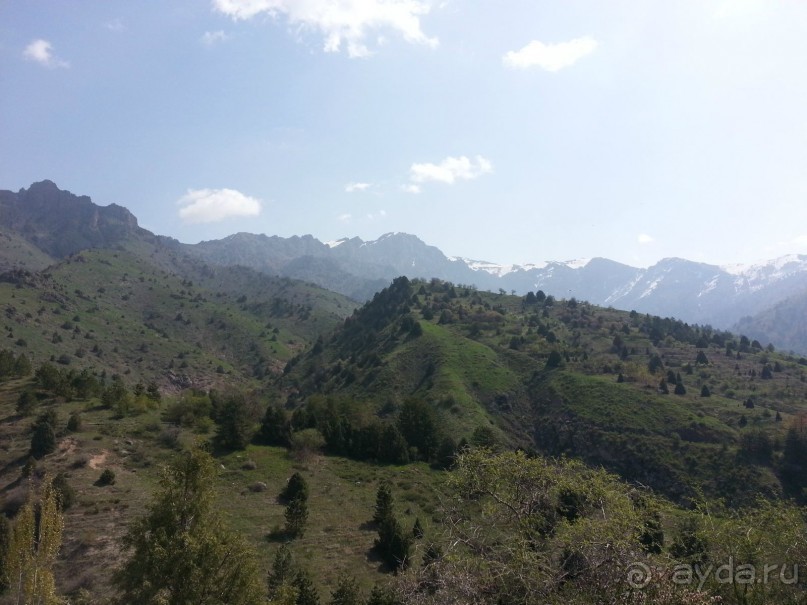 В Узбекистан с экскурсией