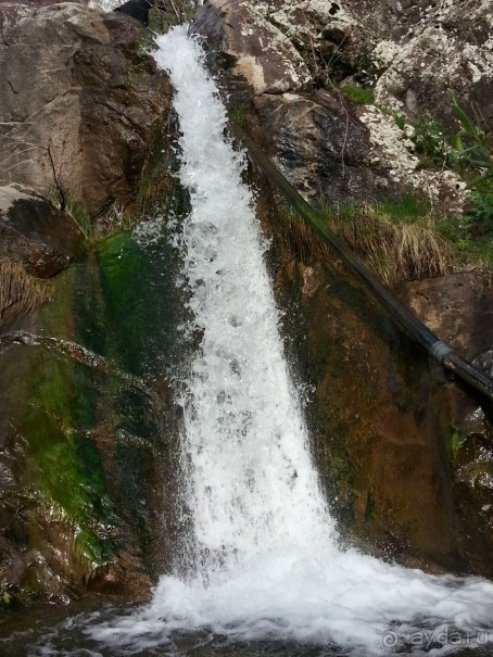 В Узбекистан с экскурсией