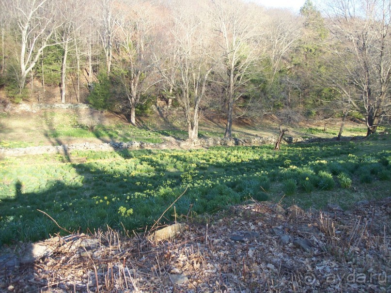 фото Вирджинии