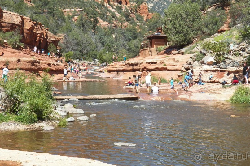 Альбом отзыва "Slide Rock. Ежевика и яблоки."