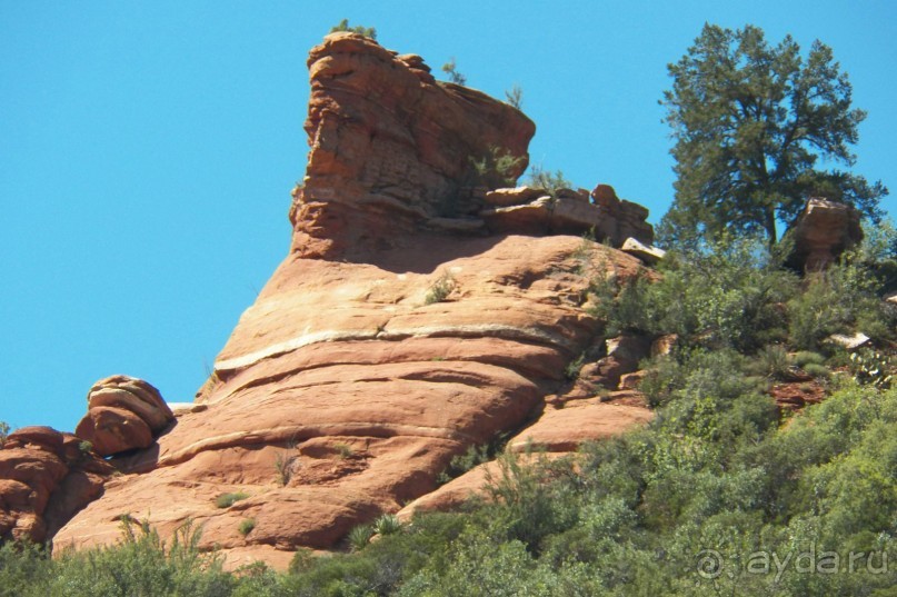 Альбом отзыва "Slide Rock. Ежевика и яблоки."