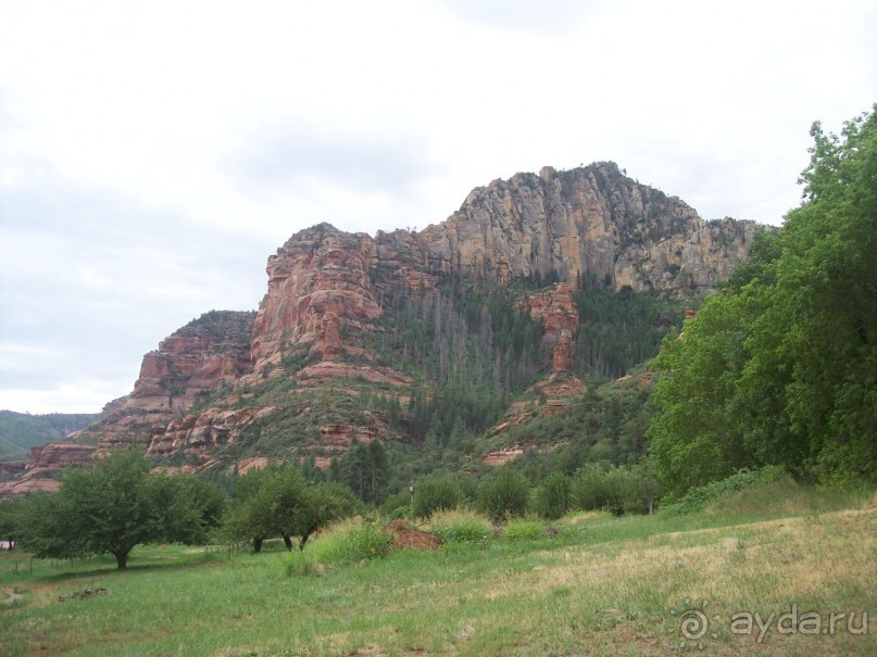 Slide Rock. Ежевика и яблоки.
