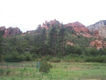 Альбом отзыва "Slide Rock. Ежевика и яблоки."