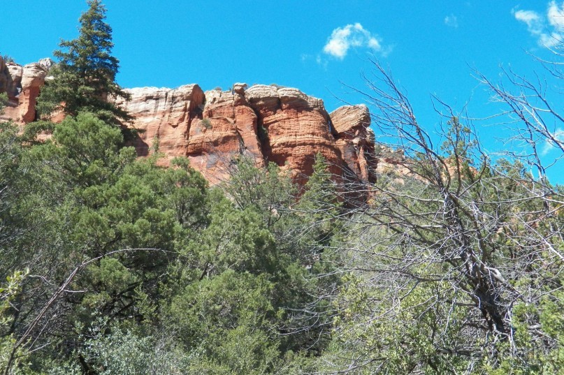Slide Rock. Ежевика и яблоки.