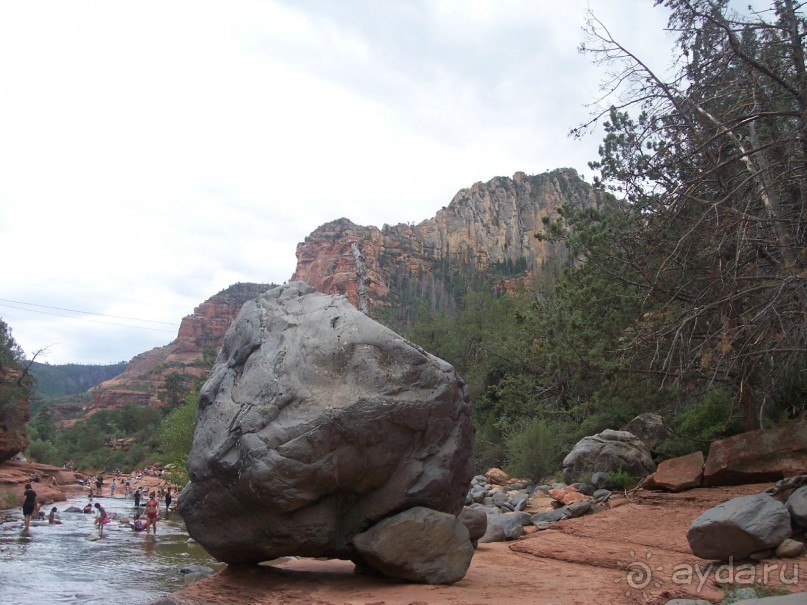 Slide Rock. Ежевика и яблоки.