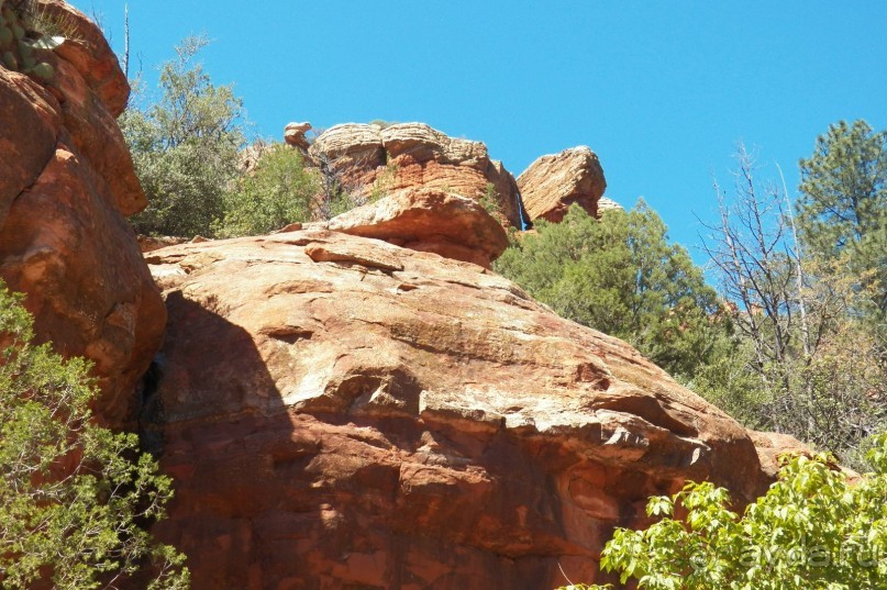 Slide Rock. Ежевика и яблоки.