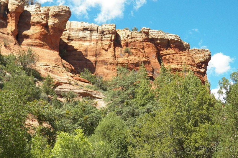 Slide Rock. Ежевика и яблоки.