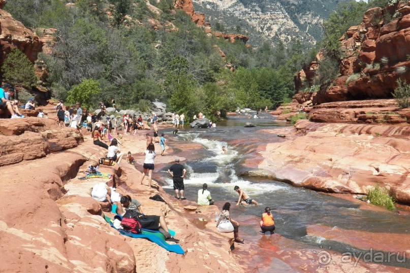 Slide Rock. Ежевика и яблоки.