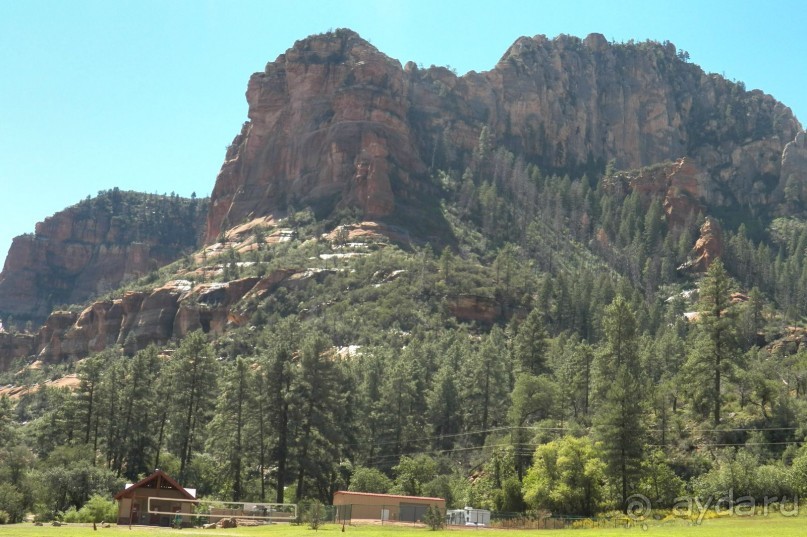 Slide Rock. Ежевика и яблоки.