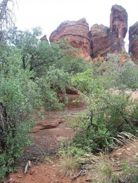 Slide Rock. Ежевика и яблоки.