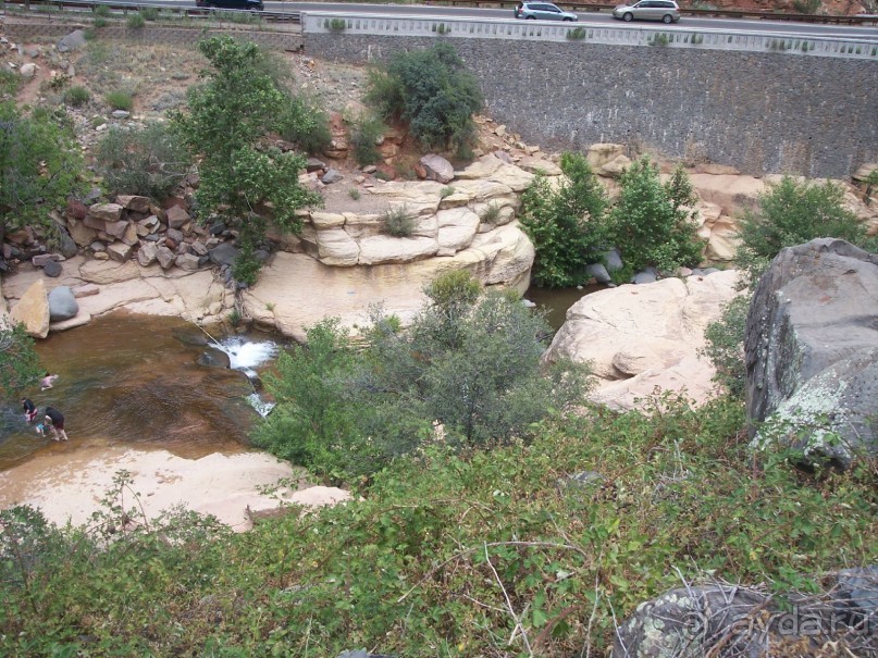 Slide Rock. Ежевика и яблоки.