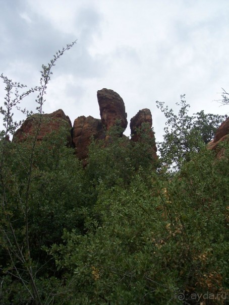 Slide Rock. Ежевика и яблоки.